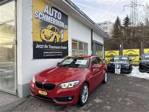 BMW 220i Steptronic-Automat 184PS img
