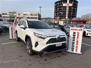 TOYOTA RAV-4 2.5 HSD Executive -27%! 4WD e-CVT Automat img