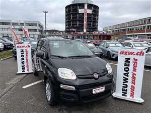 FIAT Panda 1.0 MHEV Pop Pandina Top-Preis img